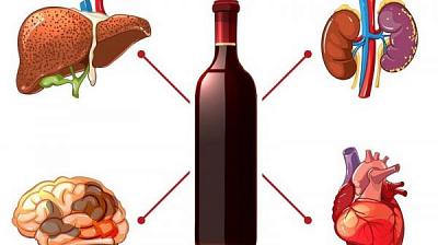 Онкологи советуют отказаться от алкоголя, чтобы снизить риск рака