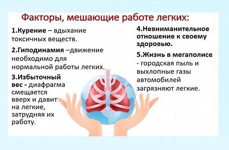 Неделя сохранения здоровья лёгких — отличный повод задуматься о своём самочувствии и предпринять первые шаги к профилактике.